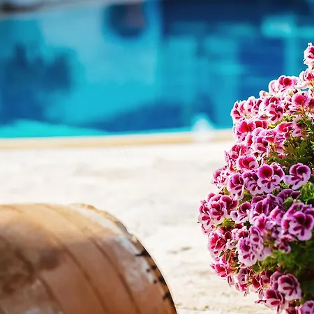 Beyevi Алачати